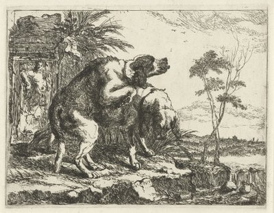 Two Mating Dogs by Jan Fyt
